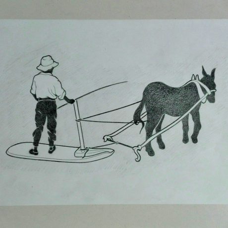 Boceto para Diseño de Logo Vintage El Trillo Tenerife